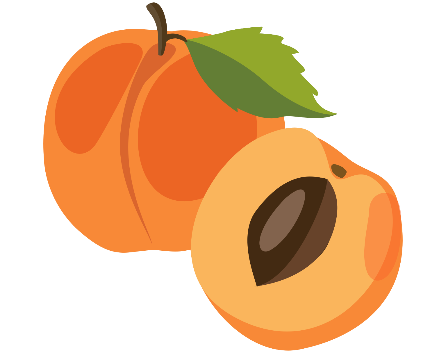 Abricots