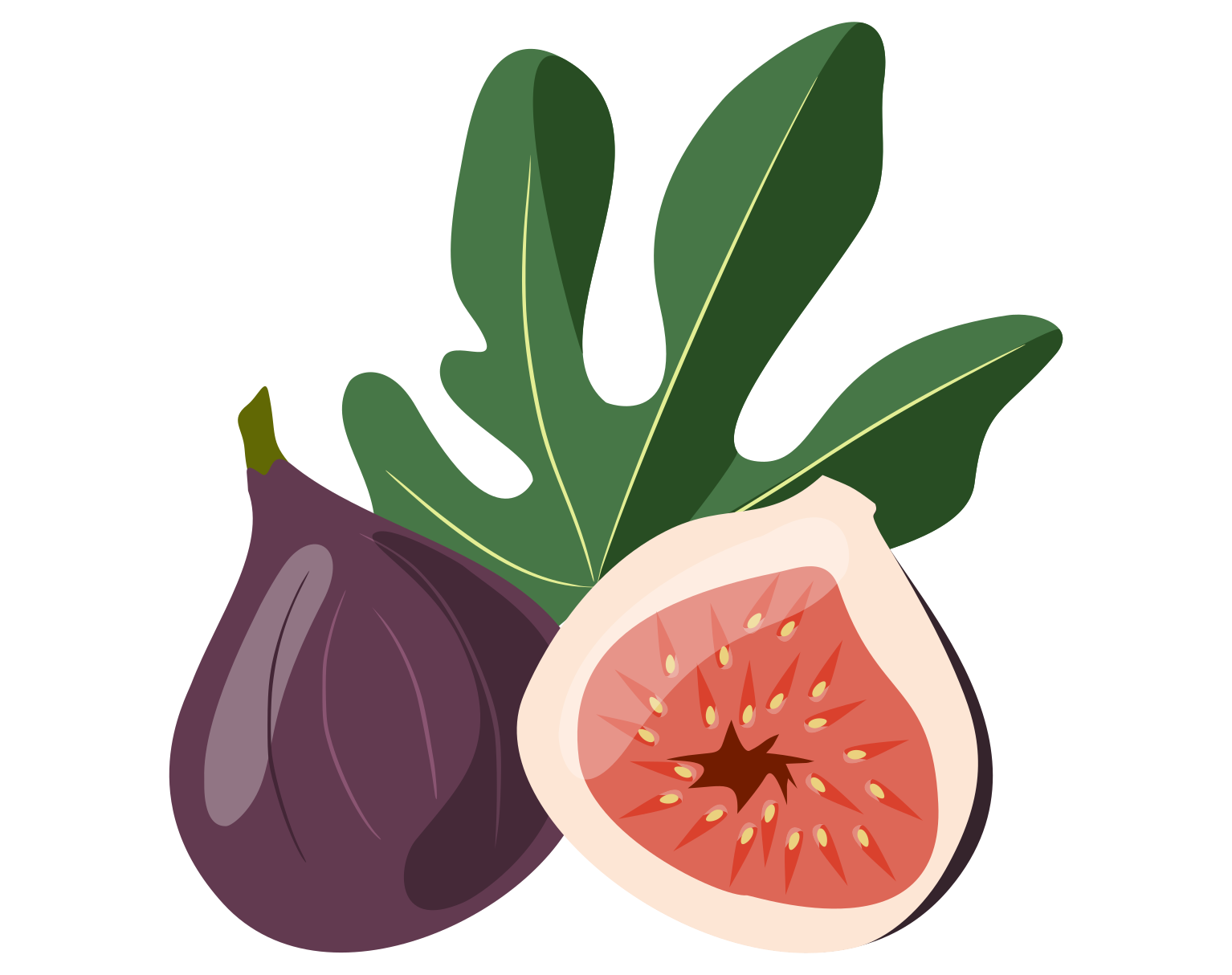 Figues