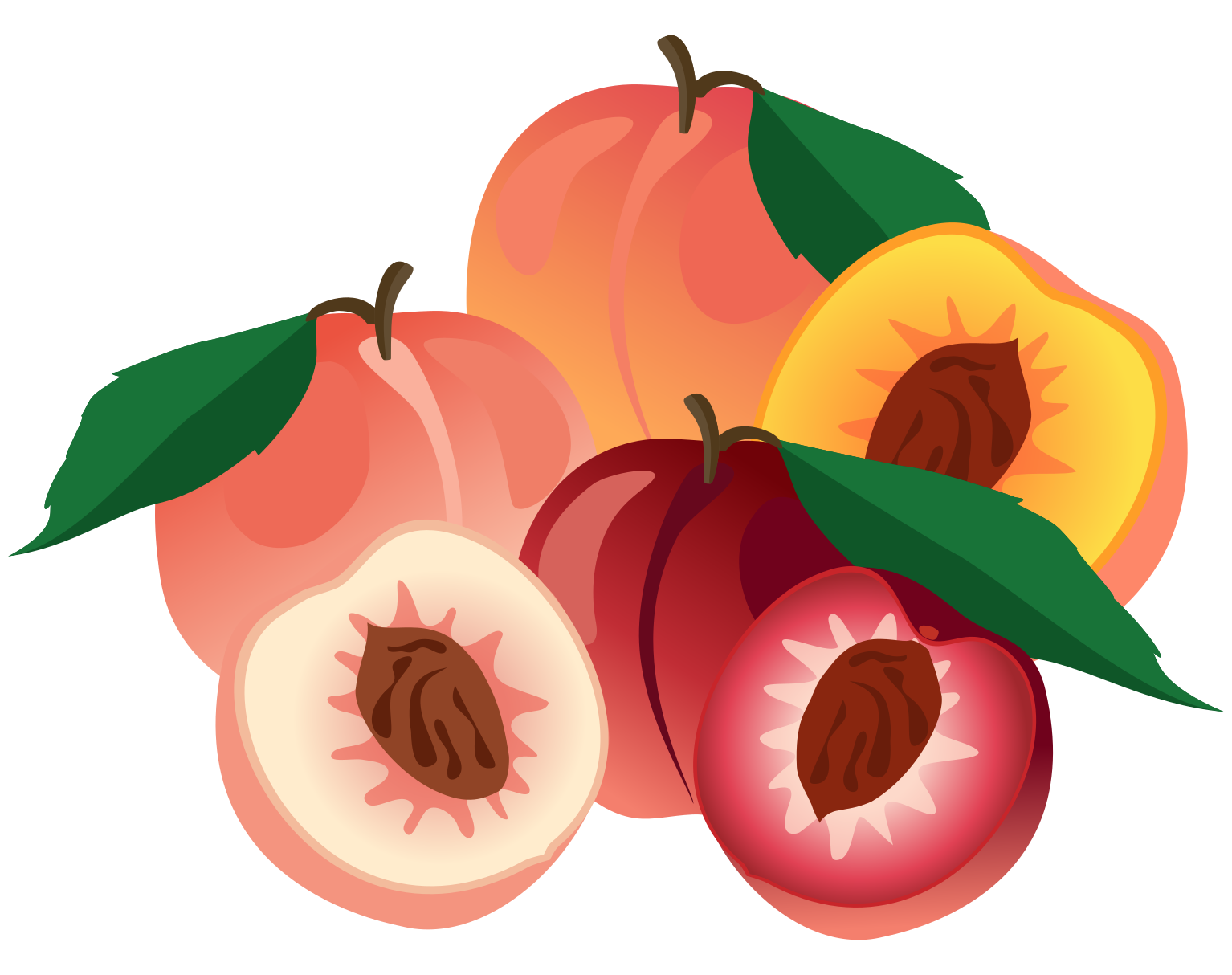 Pêches